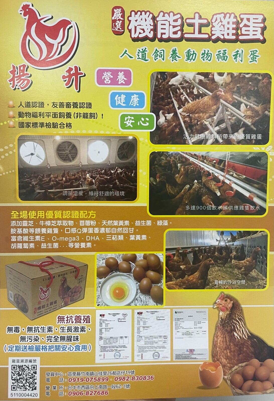 揚升機能土雞蛋